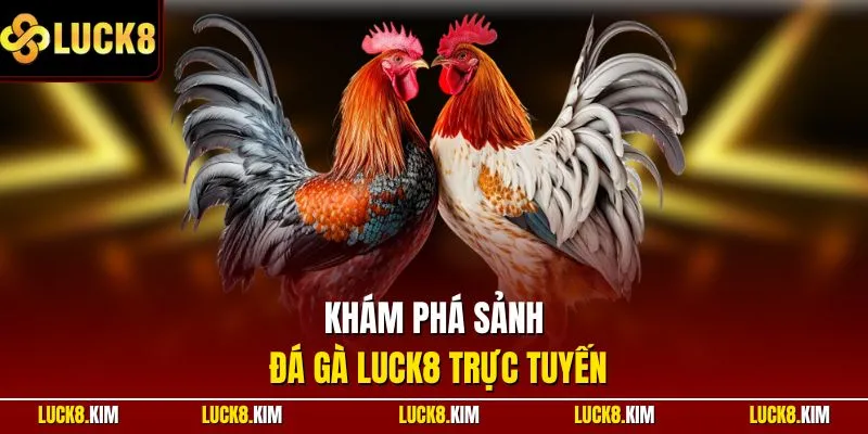 Khám phá sảnh đá gà LUCK8 trực tuyến